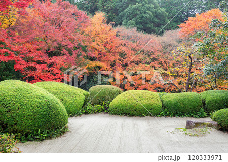 秋の詩仙堂 120333971