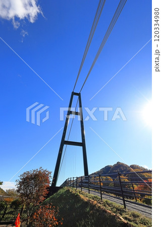 紅葉の塩原渓谷 もみじ谷大吊橋/栃木県那須塩原市 紅葉の塩原渓谷 もみじ谷大吊橋/栃木県那須塩原市 120334980