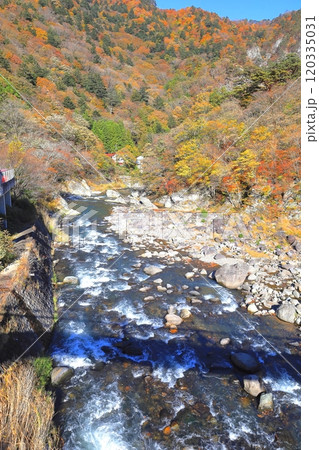 秋の塩原渓谷の七つ岩吊橋からの風景／栃木県那須塩原市 120335031