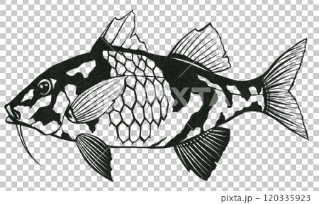 鹹水魚老人剪紙圖案貼上圖案著色圖案 鹹水魚老人剪紙圖案貼上圖案著色圖案 120335923