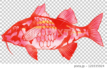 A stylish paper cut-out illustration of a saltwater fish man 120335924