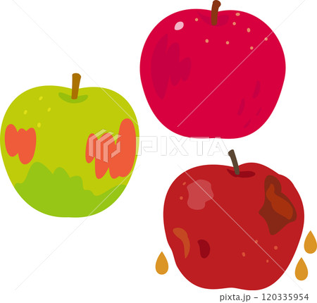 未熟なリンゴと熟したリンゴと萎びたリンゴ 120335954