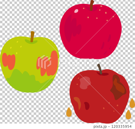 未成熟的蘋果、成熟的蘋果和枯萎的蘋果 120335954