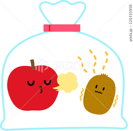 1つの袋に入ったリンゴとキウイのキャラクター、追熟 1つの袋に入ったリンゴとキウイのキャラクター、追熟 120335956