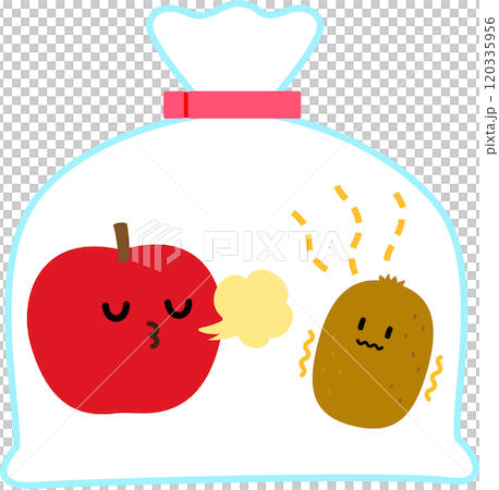 Apple and kiwi characters in one bag, ripening 120335956