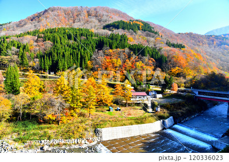 秋山郷 中津川/屋敷橋周辺(長野県栄村)【2024.11】 秋山郷 中津川/屋敷橋周辺(長野県栄村)【2024.11】 120336023
