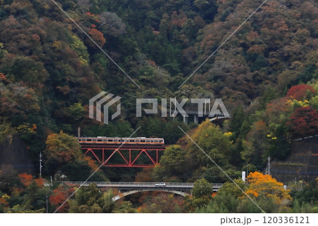 紅葉が美しい中央本線の山岳区間を駆け上るE233系電車_2024/11/16撮影 120336121