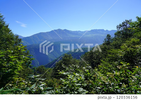 鍬崎山の瀬戸蔵山からの大日岳・奥大日岳・立山 鍬崎山の瀬戸蔵山からの大日岳・奥大日岳・立山 120336156