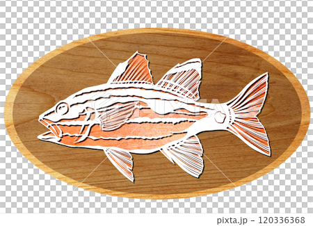Cute illustration of a saltwater fish, the giant sablefish Cute illustration of a saltwater fish, the giant sablefish 120336368