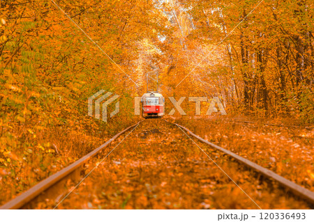 Autumn forest through which the tram travels, Kyiv and rails Autumn forest through which the tram travels, Kyiv and rails 120336493