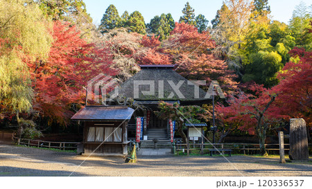 秋深まる中尊寺 朝焼けに染まる弁財天堂 岩手県 秋深まる中尊寺 朝焼けに染まる弁財天堂 岩手県 120336537