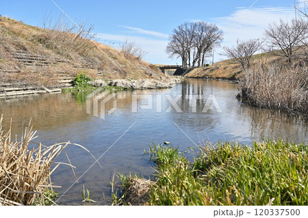 新町宿散歩：温井川　水面 　高崎市新町 120337500