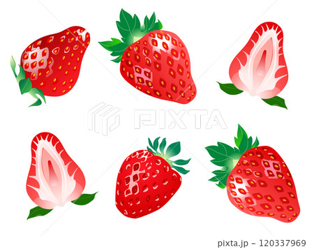 イチゴ輪切り 120337969