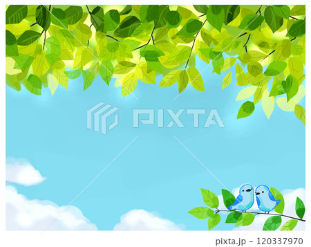 新緑と青い鳥 120337970