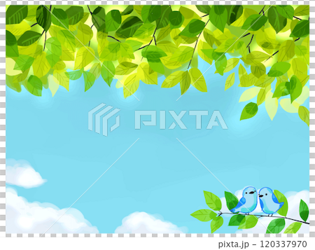 新緑と青い鳥 120337970