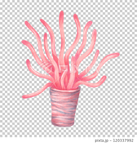 Tube corals, sea sponge. Watercolor and marker illustrations. Ocean coral reefs, underwater animal of seabed. Hand drawn isolated art. Underwater nature of marine ecosystem for tourism industry. 120337992