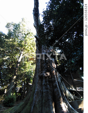 埼玉県坂戸市浅羽野のパワースポット　土屋神社 120338324