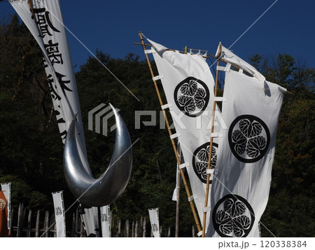 徳川の旗印 120338384