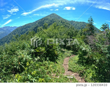 登山道からの鍬崎山頂上 登山道からの鍬崎山頂上 120338410