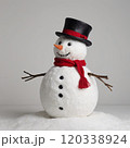 snowman christmas decor 120338924