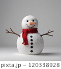 snowman christmas decor 120338928