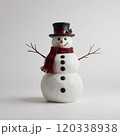 snowman christmas decor 120338938