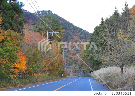 会津西街道の紅葉/栃木県日光市 会津西街道の紅葉/栃木県日光市 120340511