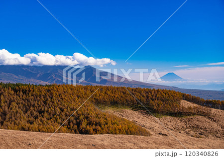 霧ヶ峰富士見台からの富士山と八ヶ岳連峰 霧ヶ峰富士見台からの富士山と八ヶ岳連峰 120340826