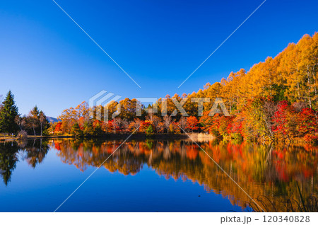 いずみ湖の紅葉 下諏訪町 いずみ湖の紅葉 下諏訪町 120340828