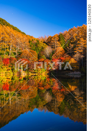 いずみ湖の紅葉　下諏訪町 120340830