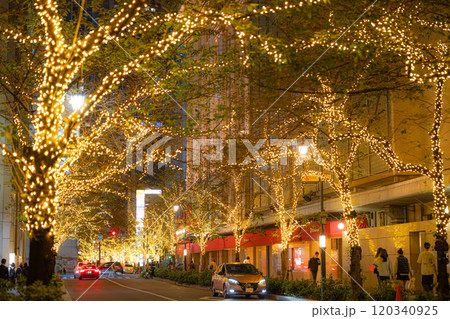 東京イルミリア2024-2025(TOKYO ILLUMILIA 2024-2025) 東京イルミリア2024-2025(TOKYO ILLUMILIA 2024-2025) 120340925