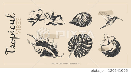 Tropical flowers vector with halftone effect. Tropical flowers vector with halftone effect. 120341096