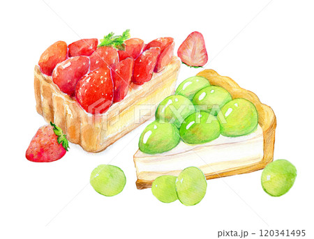 色鉛筆画 原画 手描きポストカード フルーツタルト - メルカリ