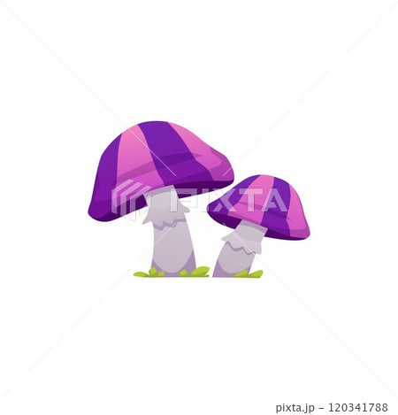 Fantasy mushrooms with purple striped cap vector icon, cartoon couple of magic fungi, fairy nature fungus game props Fantasy mushrooms with purple striped cap vector icon, cartoon couple of magic fungi, fairy nature fungus game props 120341788