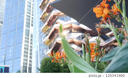 New York City, Hudson Yards, urban architecture in Chelsea, Manhattan Midtown, USA. Flowers bloom. 120341900