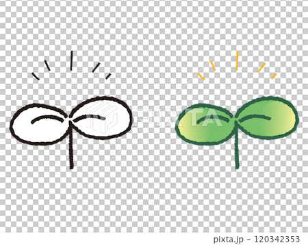 シンプルな若葉 120342353