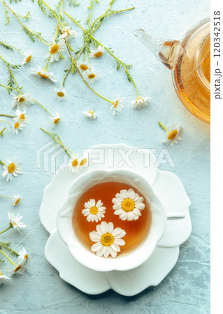 Chamomile flower tea. A tea cup and a tea pot with fresh medicinal flowers 120342518
