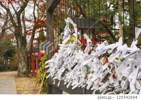神社やお寺のおみくじ。おみくじを結ぶ場所 神社やお寺のおみくじ。おみくじを結ぶ場所 120342684