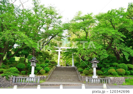 弥彦神社　参道（新潟県） 120342696