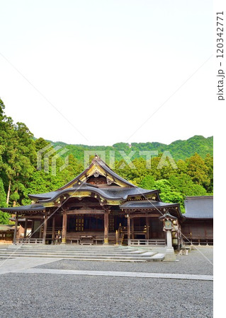 弥彦神社　本殿（新潟県） 120342771