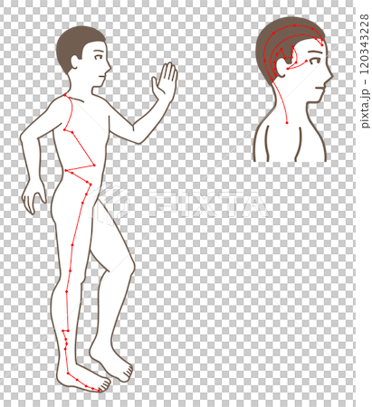 少陽膽經足部穴位圖解 120343228