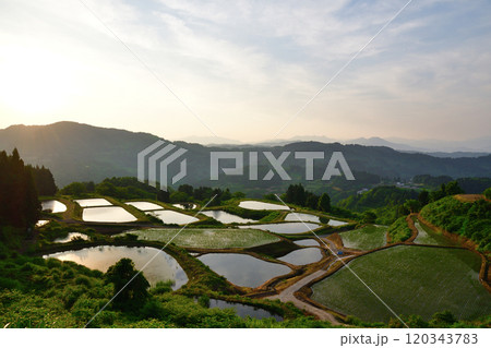 山古志 金倉山の棚田(新潟県) 山古志 金倉山の棚田(新潟県) 120343783