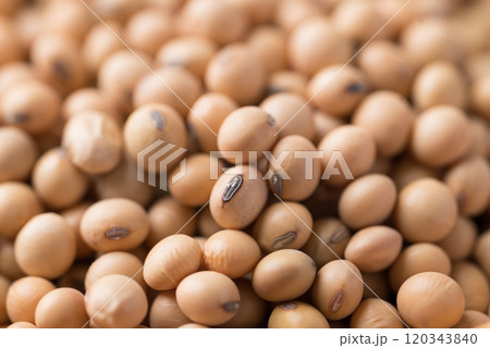 Soy bean seeds texture background, Food ingredient 120343840
