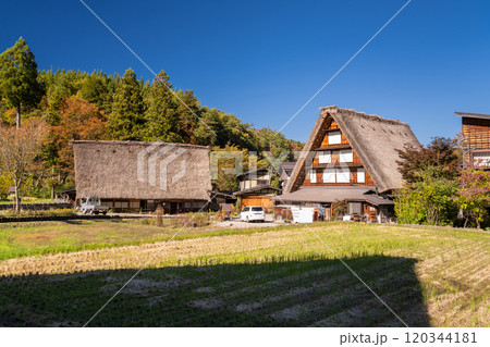 《富山県》黄葉の菅沼合掌造り集落・日本の原風景 《富山県》黄葉の菅沼合掌造り集落・日本の原風景 120344181