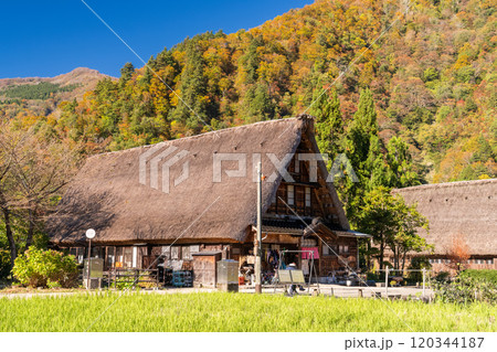 《富山県》黄葉の菅沼合掌造り集落・日本の原風景 120344187