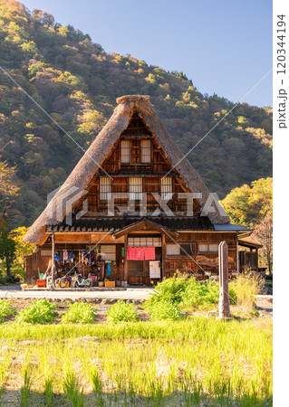 《富山県》黄葉の菅沼合掌造り集落・日本の原風景 120344194
