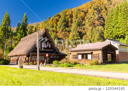 《富山県》黄葉の菅沼合掌造り集落・日本の原風景 120344195