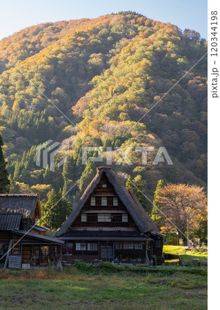 《富山県》黄葉の菅沼合掌造り集落・日本の原風景 120344198