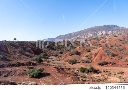 Morocco semi-deserts and mountains, north africa nature, Moroccan stone desert, red hills, villages and argan trees Morocco semi-deserts and mountains, north africa nature, Moroccan stone desert, red hills, villages and argan trees 120344256