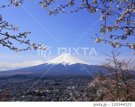 河口湖町から望む春の冠雪した富士山と桜 04月風景・富士山415河口湖町展望H4.3 河口湖町から望む春の冠雪した富士山と桜 04月風景・富士山415河口湖町展望H4.3 120344323